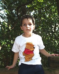 or05.jpg (12586 bytes)